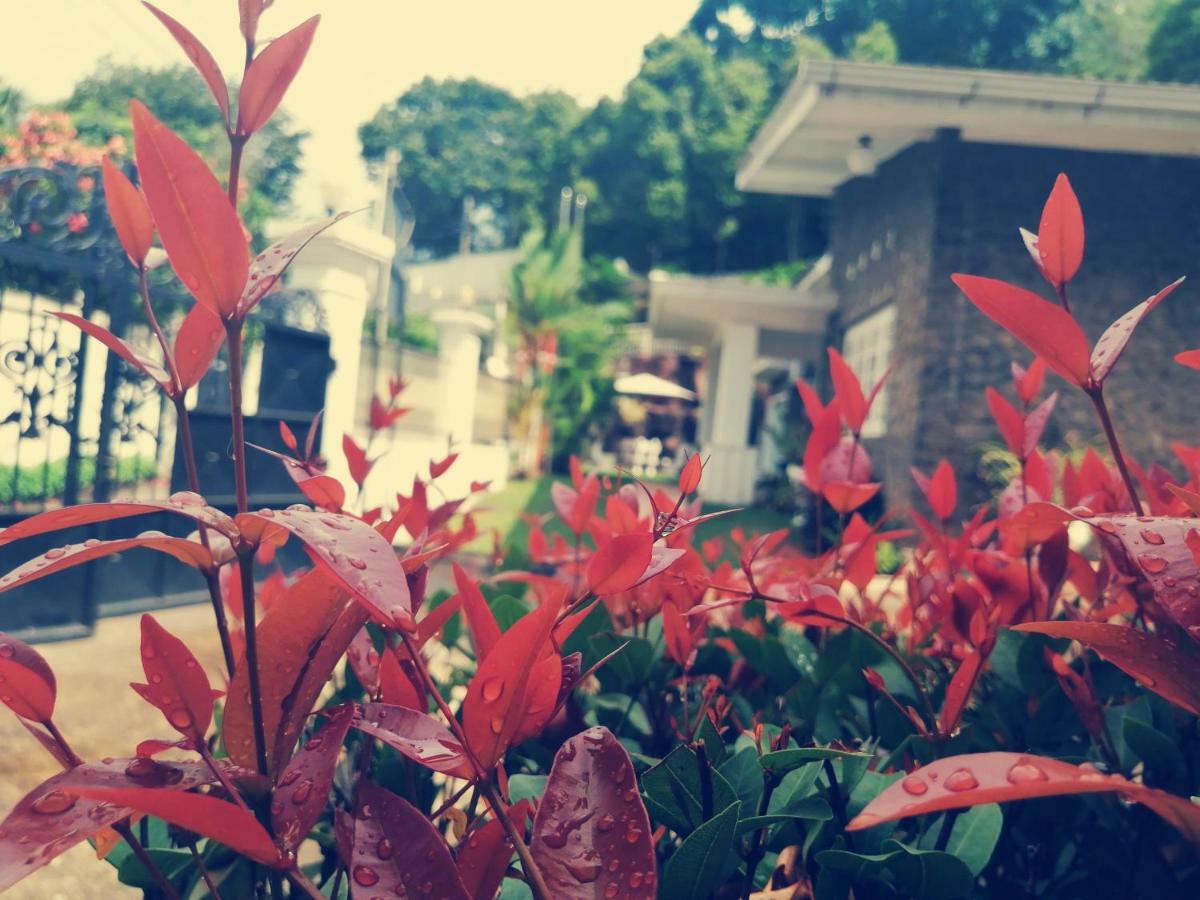 Anna Shanthi Villa Kandy Bagian luar foto