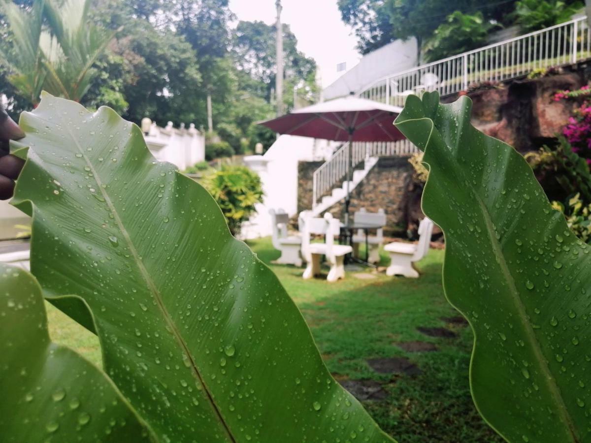 Anna Shanthi Villa Kandy Bagian luar foto