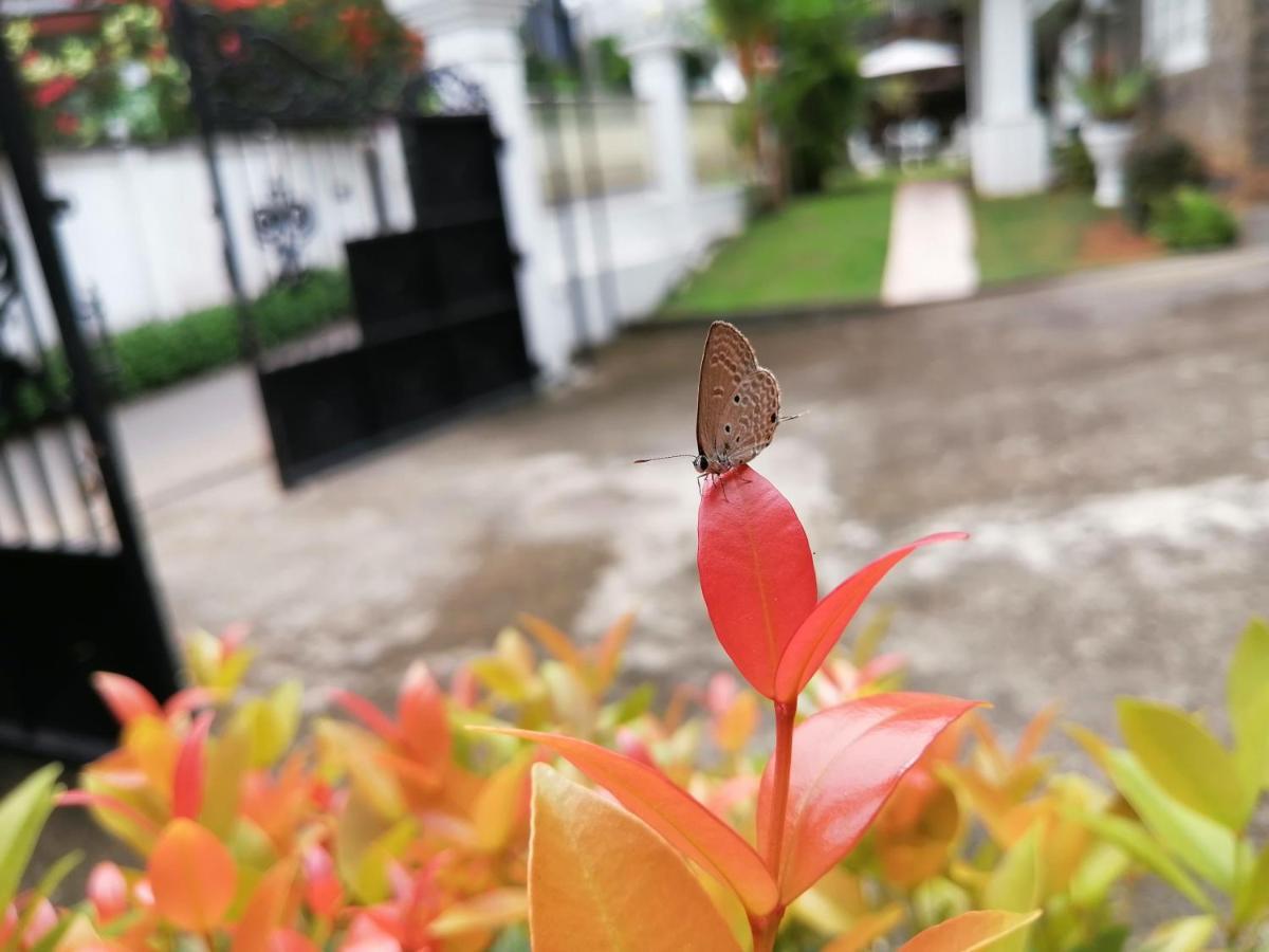 Anna Shanthi Villa Kandy Bagian luar foto