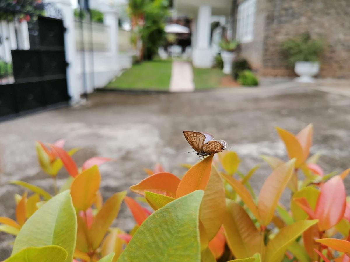 Anna Shanthi Villa Kandy Bagian luar foto