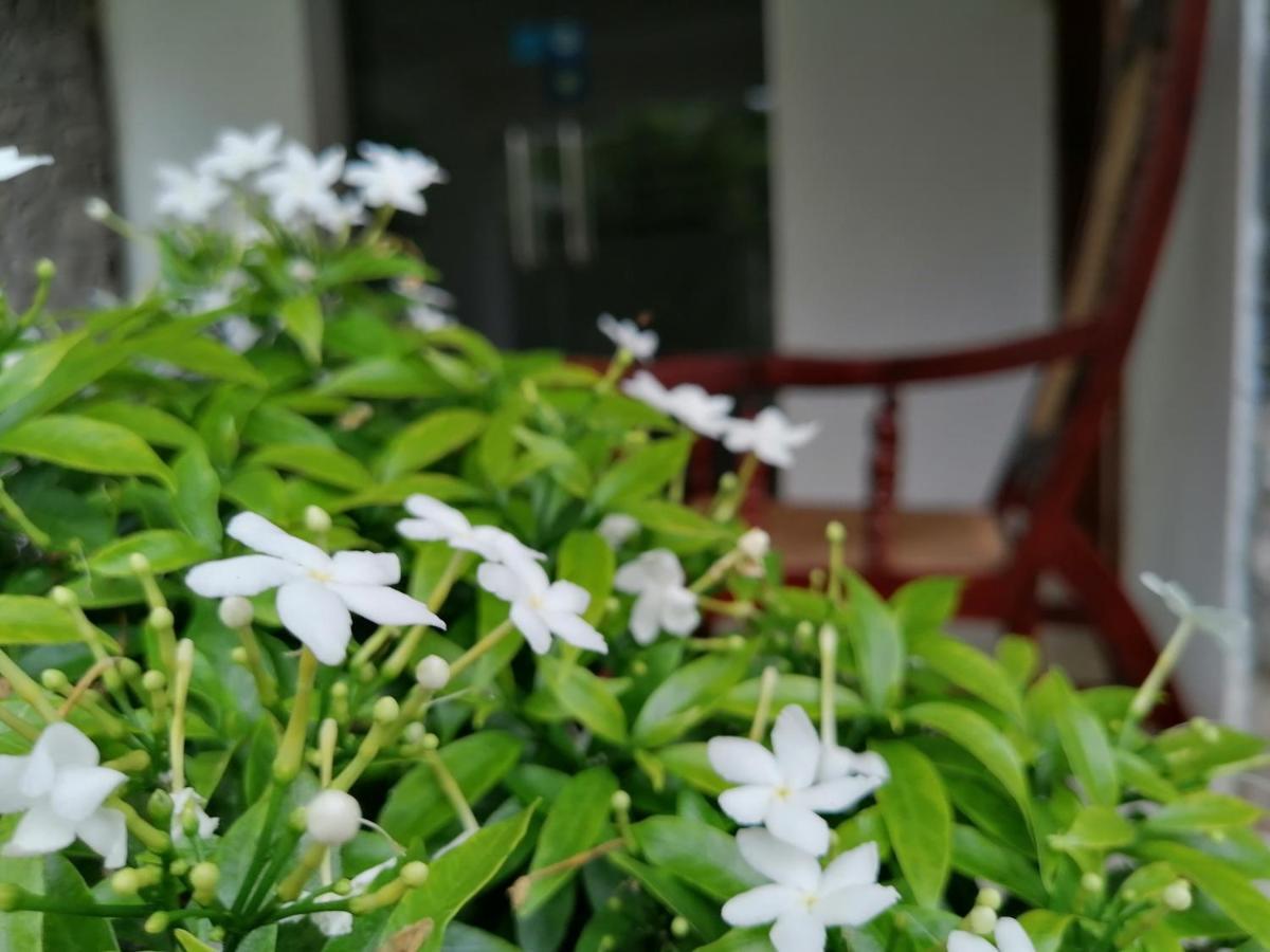 Anna Shanthi Villa Kandy Bagian luar foto