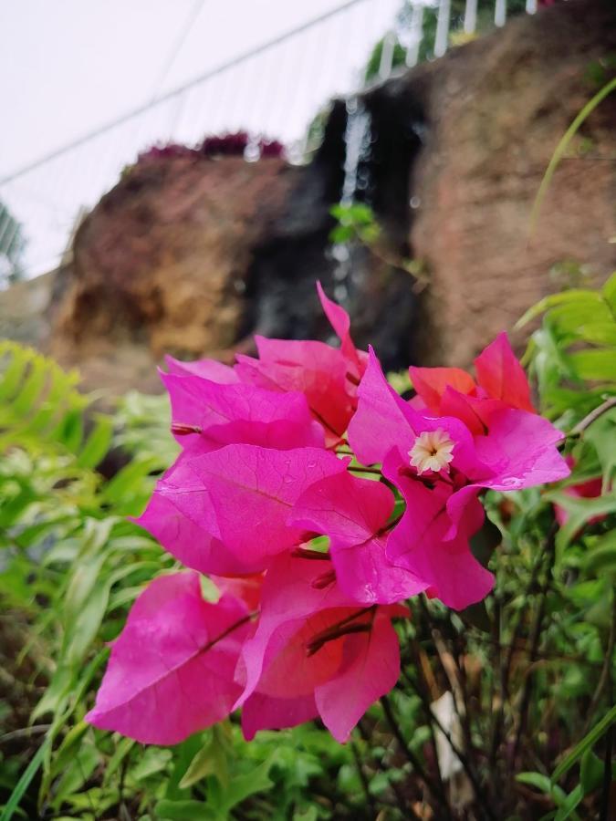 Anna Shanthi Villa Kandy Bagian luar foto