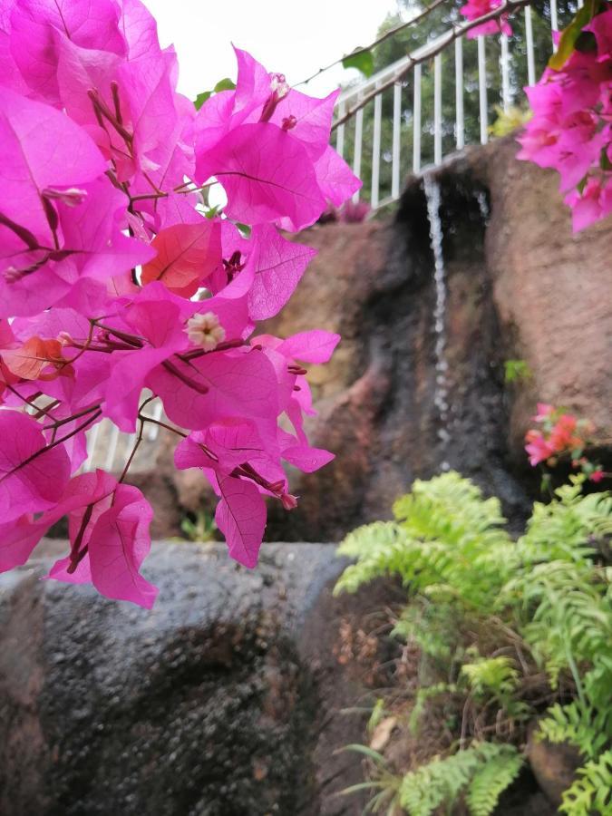 Anna Shanthi Villa Kandy Bagian luar foto